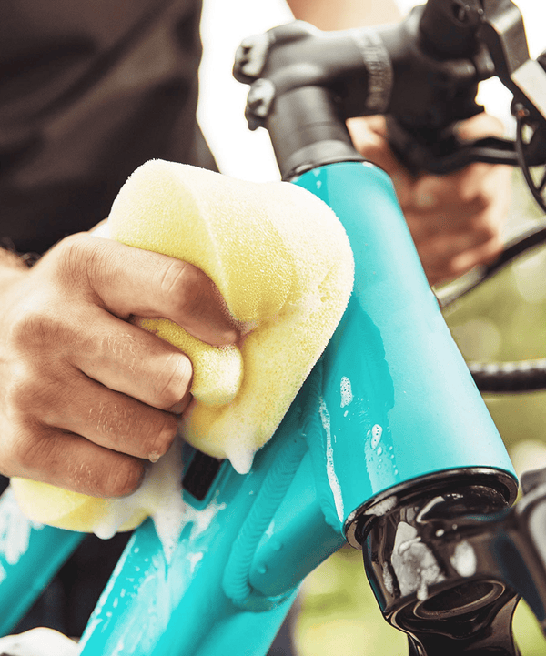 Bicycle - Polishes